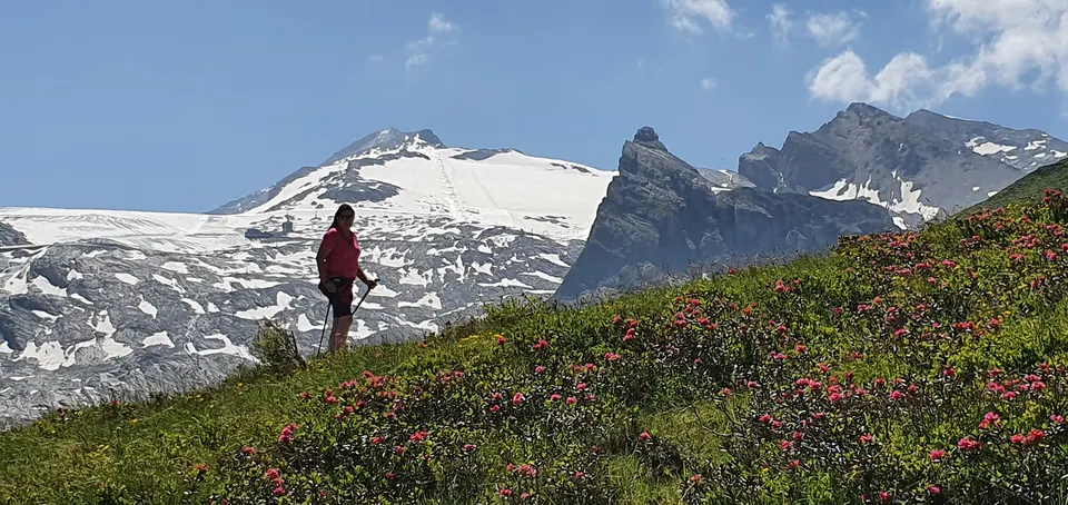 Wanderin auf einer Almwiese vor Gletscher und Bergen