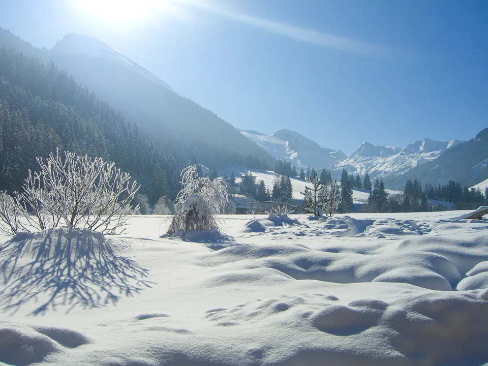 Verschneite Winterlandschaft im Gegenlicht