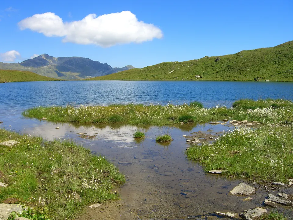 Bergsee zwischen Almwiesen