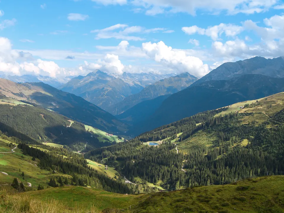 Blick über grüne Almwiesen und Berge im Sommer