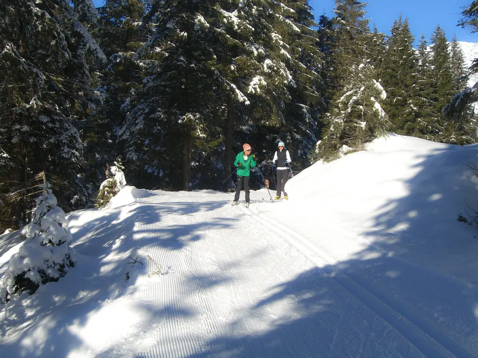 Winterwanderweg durch den verschneiten Wald