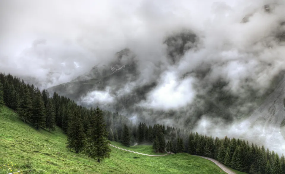 Nebel über Wald und Wiesen