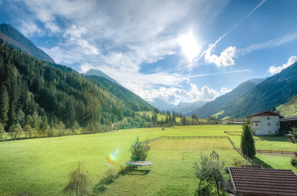 Grüne Wiesen vor den Bergen